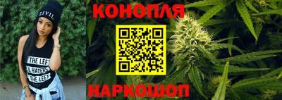 прущие грибы Канаш
