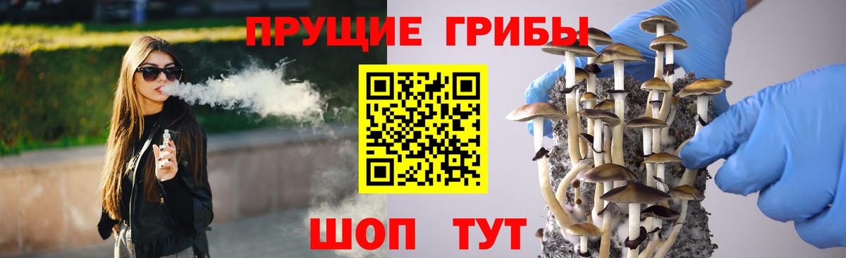 Псилоцибиновые грибы GOLDEN TEACHER  Псилоцибиновые грибы прущие грибы  Вход с VPN  Старая Купавна 