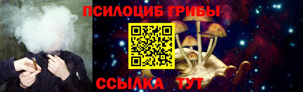 Псилоцибиновые грибы Psilocybine cubensis Старая Купавна
